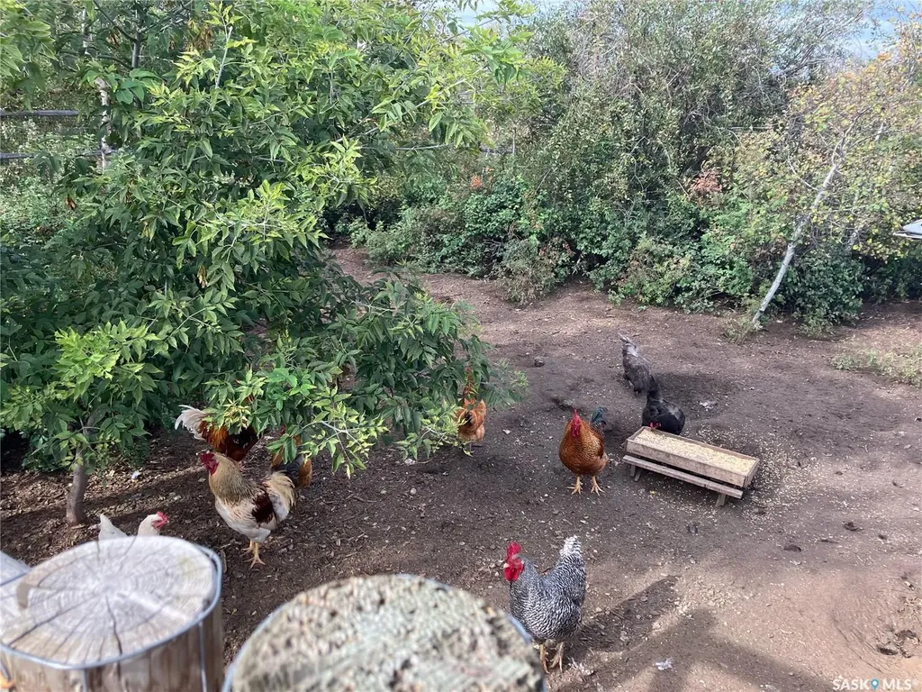 Rural Address Corman Park Rm No. 344 SK S7K 3J5