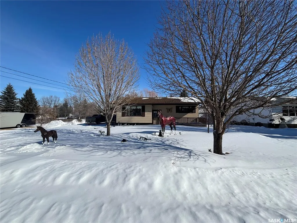 299 9th Avenue Broadview SK S0G 0K0