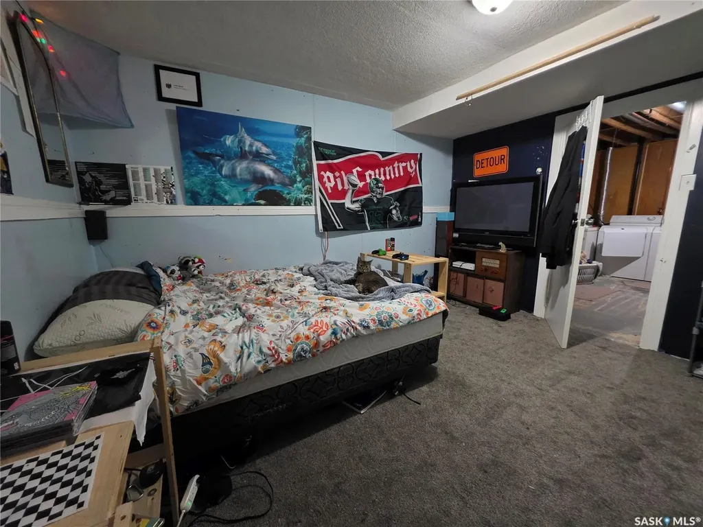 520 Dennis Street Herbert SK S0H 2A0