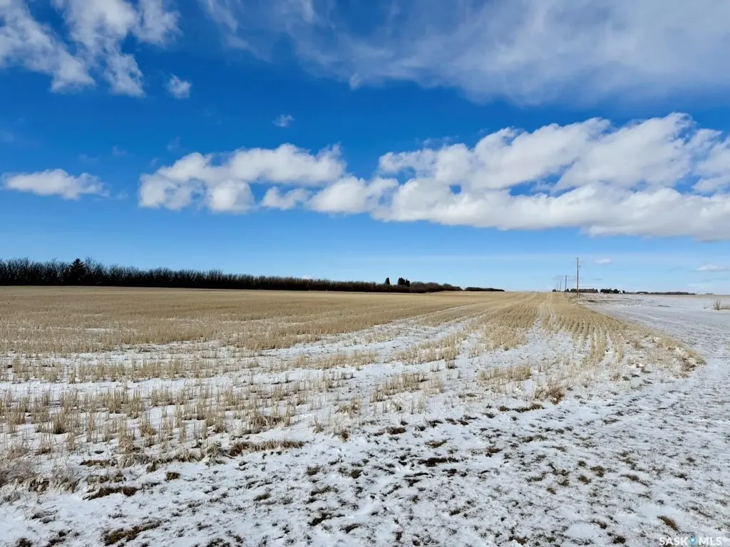 Rural Address Webb Rm No. 138 SK S0N 1A0