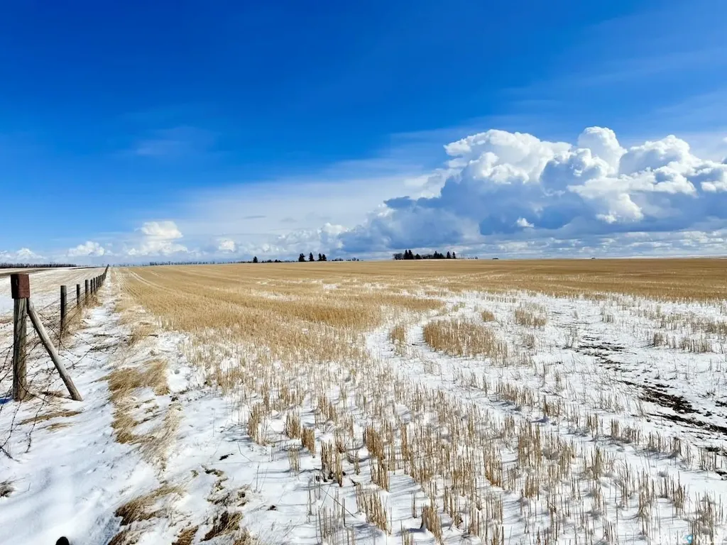 Rural Address Webb Rm No. 138 SK S0N 1A0