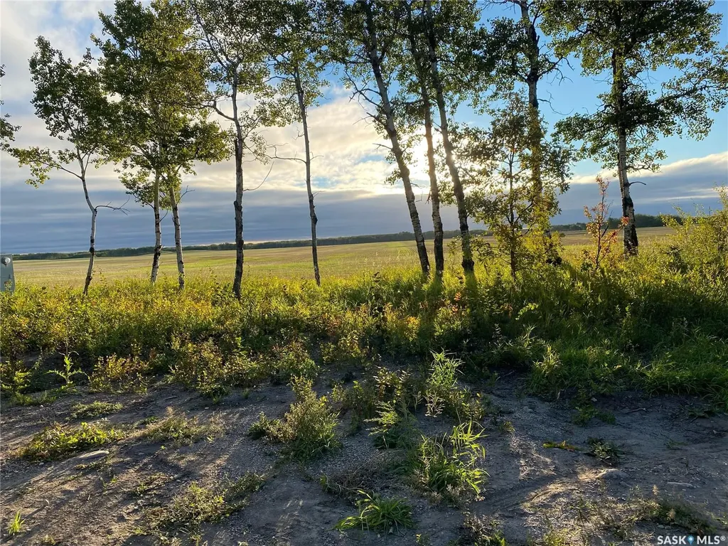 Rural Address Rocanville Rm No. 151 SK S0A 3L0