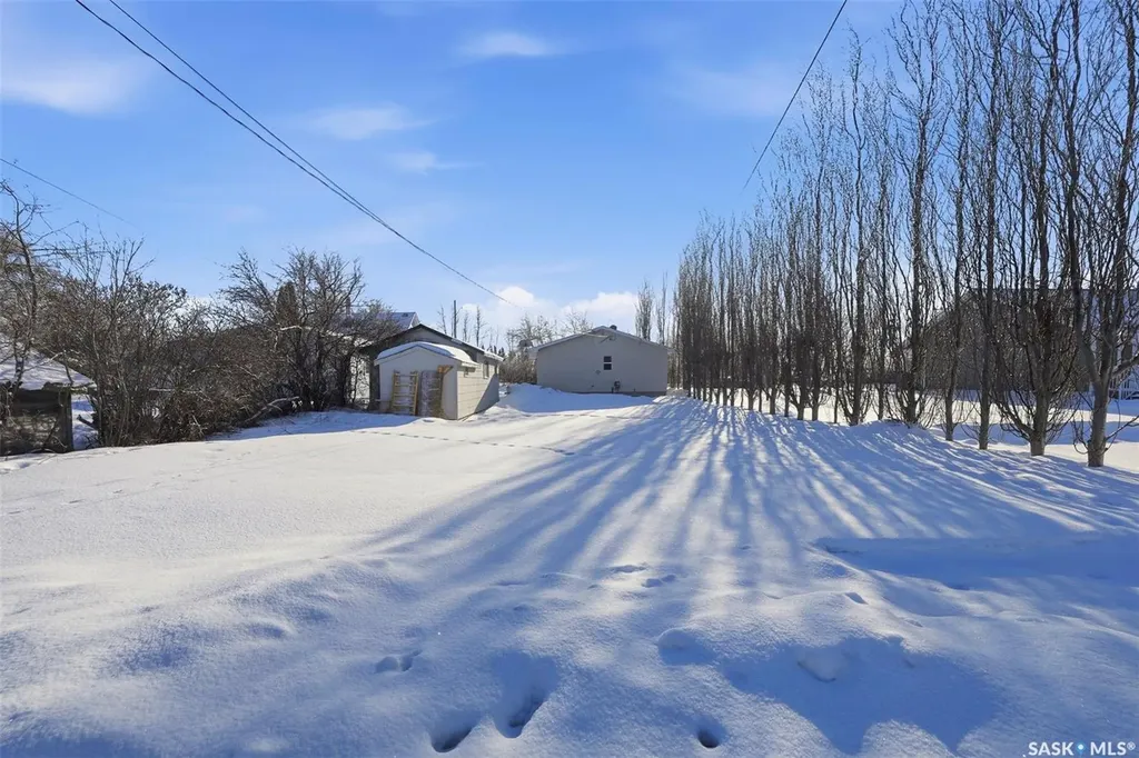 707 King Street Cudworth SK S0K 1B0