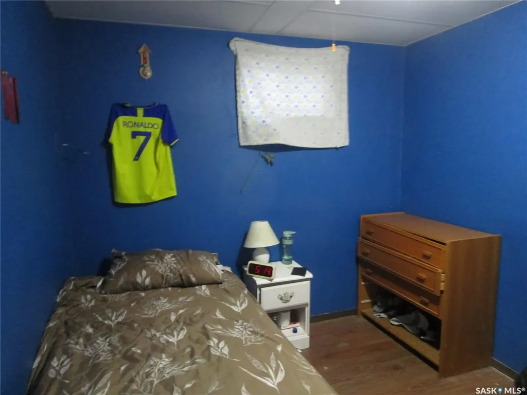 229 Centre Street Assiniboia SK S0H 0B0