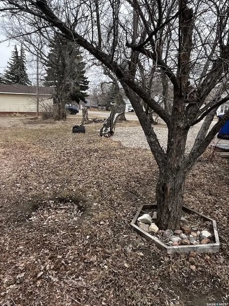 112 Main Street Harris SK S0L 1K0