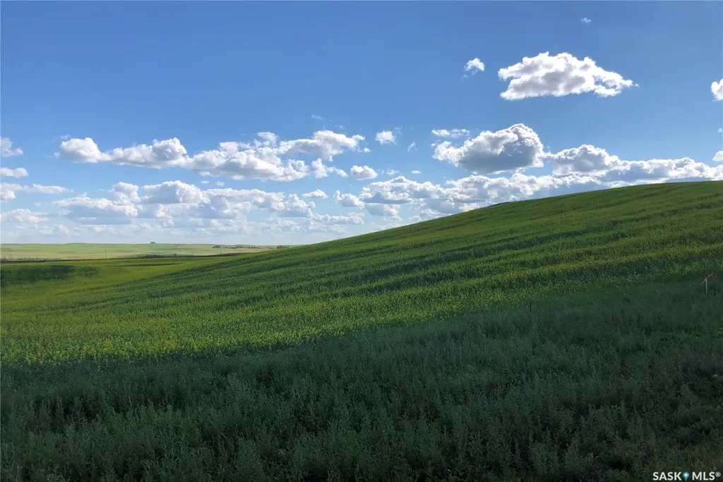 Rural Address Grant Rm No. 372 SK S0K 4N0