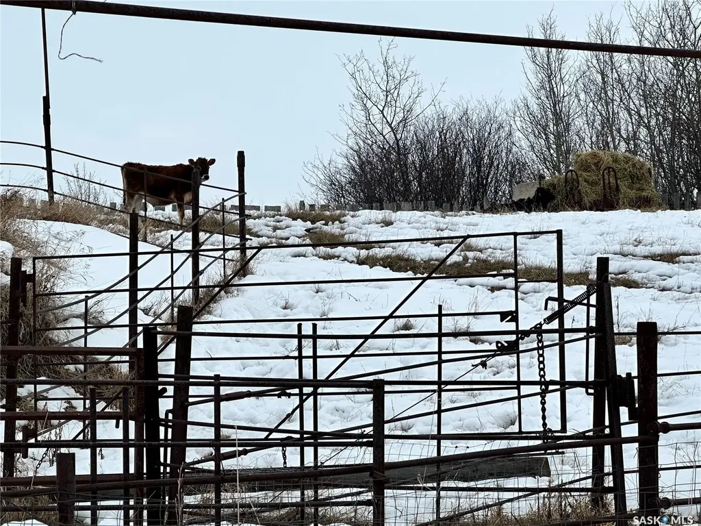 Rural Address Parkdale Rm No. 498 SK S0M 1J0