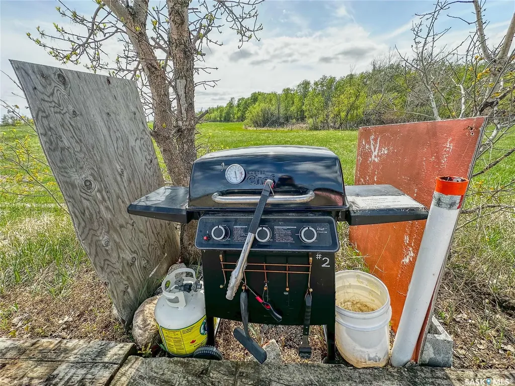 1041 Kaiser William Avenue Langenburg SK S0A 2A0