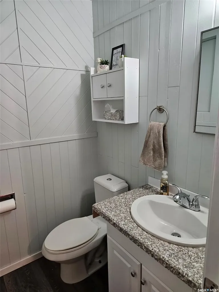 35 Mountain Drive Carlyle SK S0C 0R0