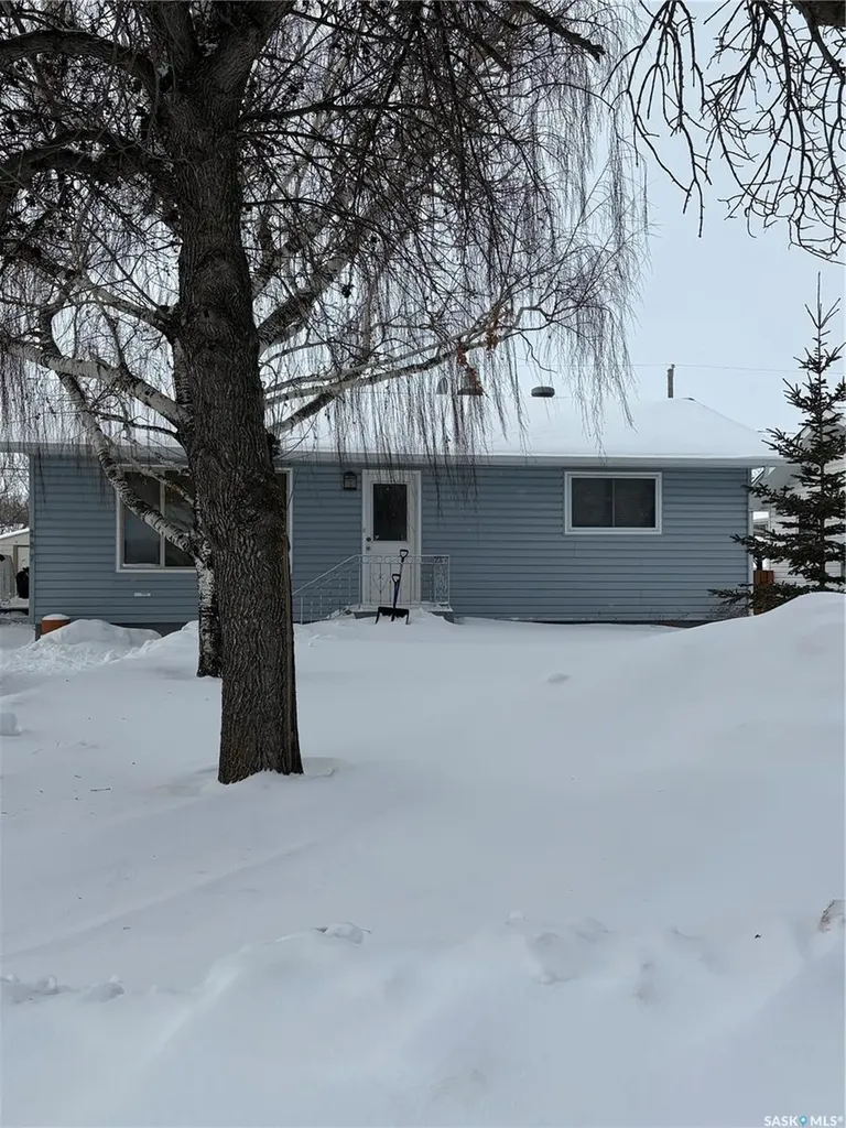 207 3rd Street NE Ituna SK S0A 1N0