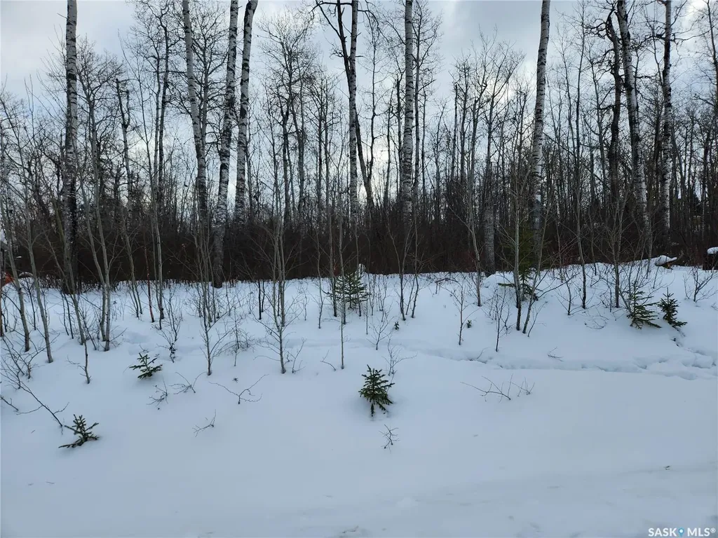1 Smits Avenue Nipawin Rm No. 487 SK S0E 0P0