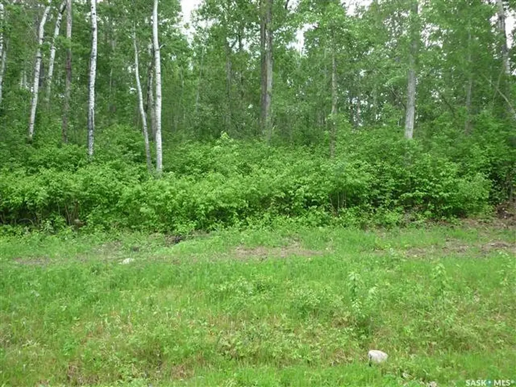 1 Smits Avenue Nipawin Rm No. 487 SK S0E 0P0
