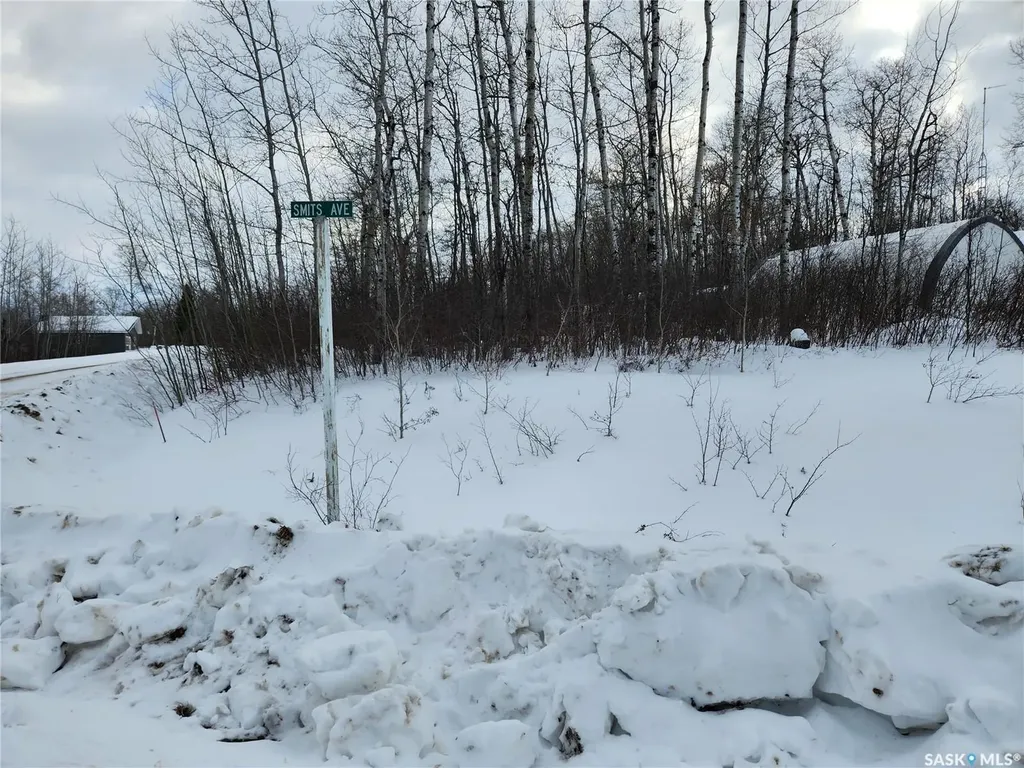 1 Smits Avenue Nipawin Rm No. 487 SK S0E 0P0
