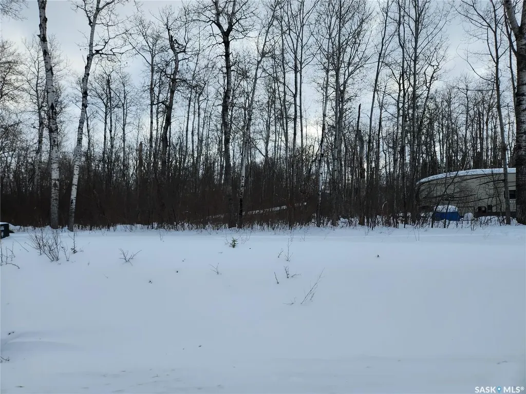 1 Smits Avenue Nipawin Rm No. 487 SK S0E 0P0