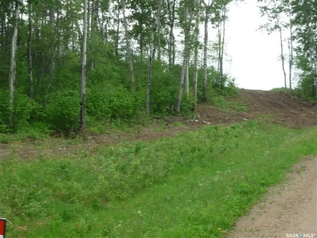 1 Smits Avenue Nipawin Rm No. 487 SK S0E 0P0