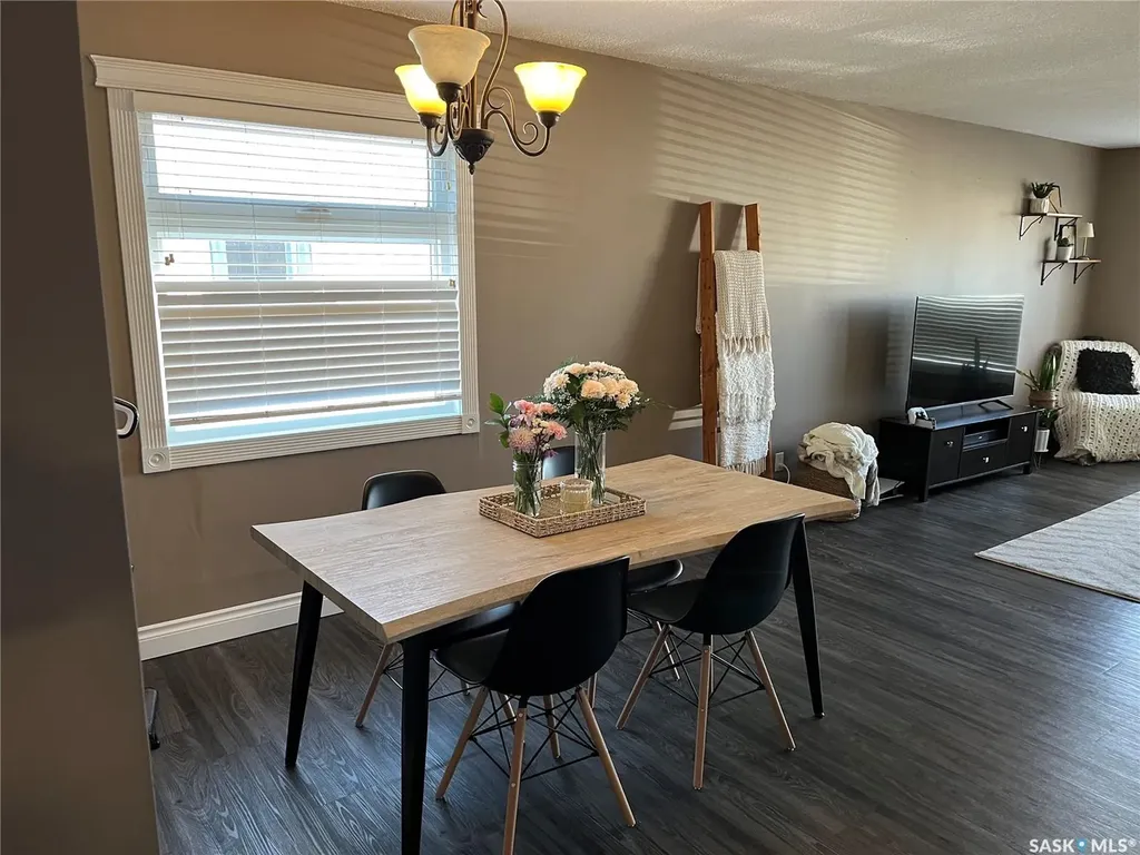 207 Dominion Road Assiniboia SK S0H 0B0