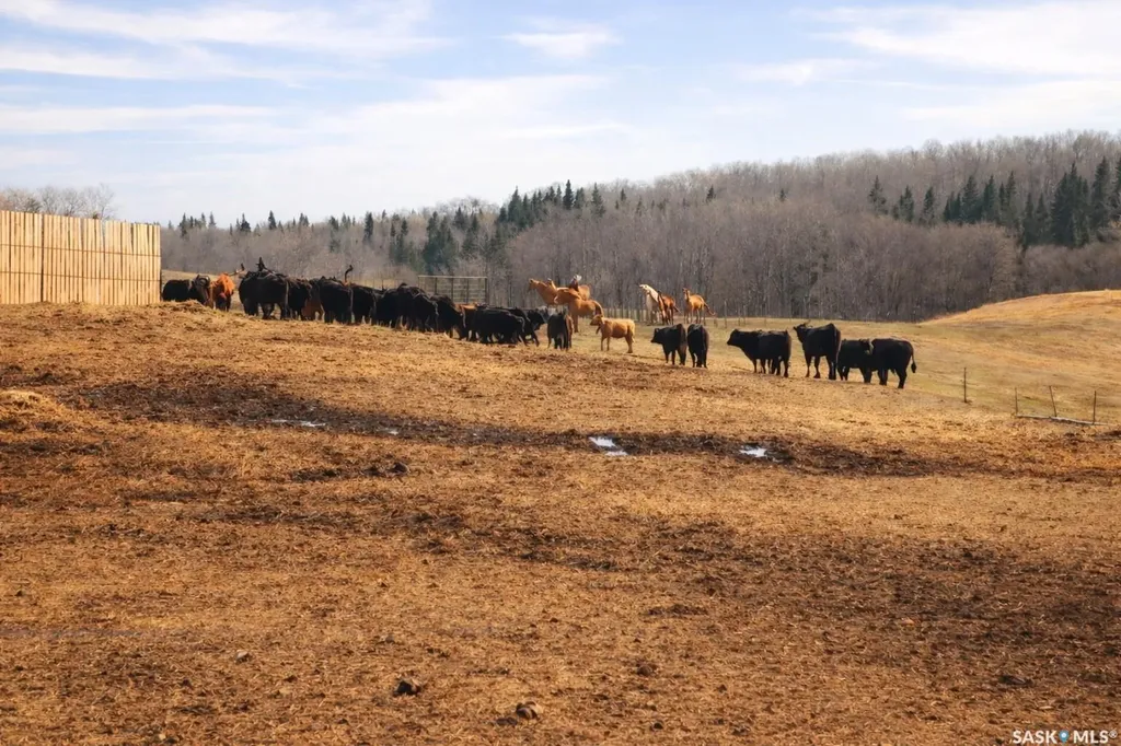 Rural Address Shellbrook Rm No. 493 SK S0J 2E0