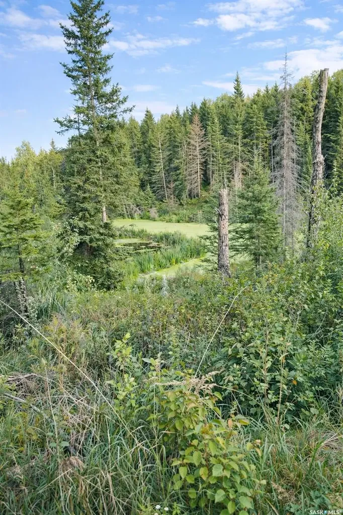 Rural Address Shellbrook Rm No. 493 SK S0J 2E0