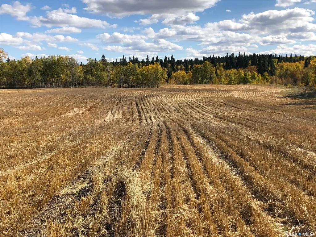 Rural Address Shellbrook Rm No. 493 SK S0J 2E0