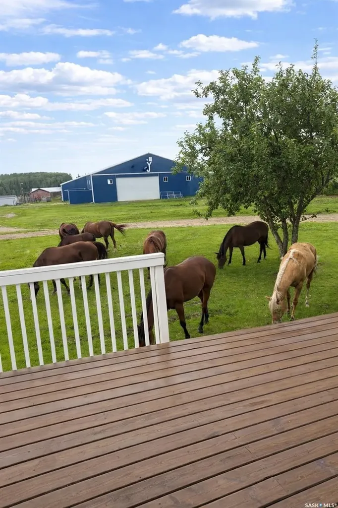 Rural Address Shellbrook Rm No. 493 SK S0J 2E0