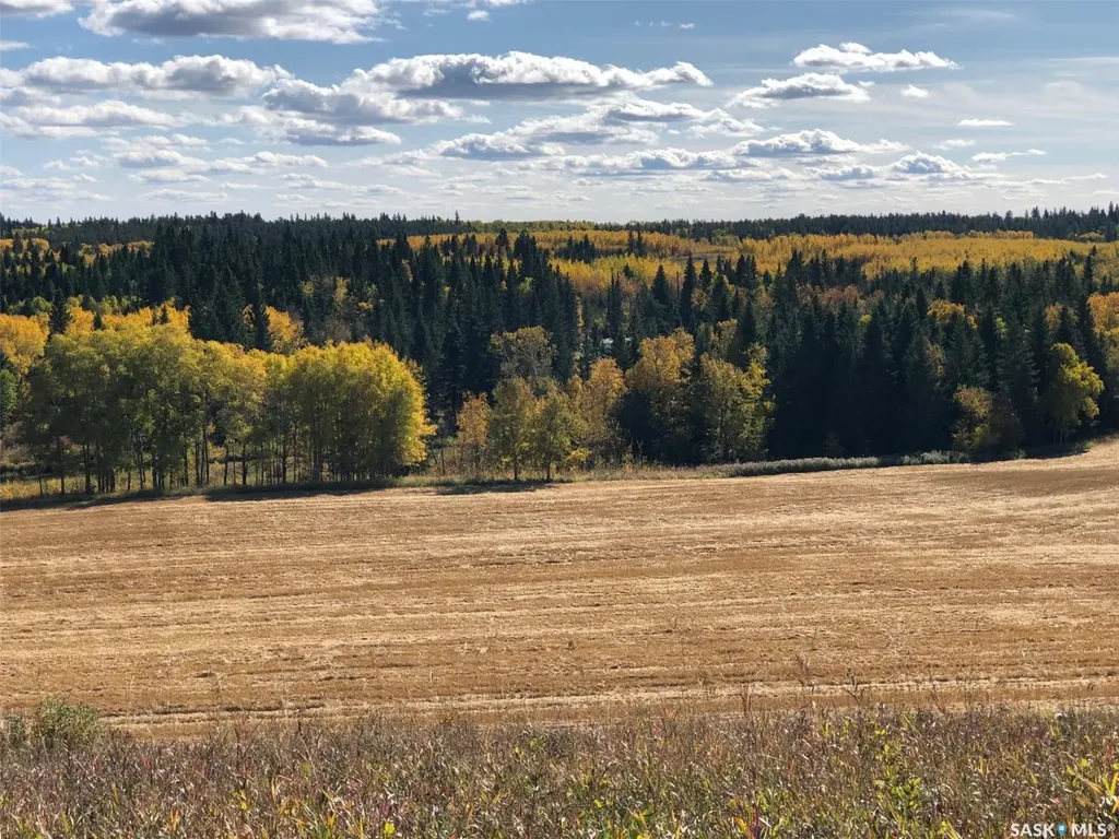 Rural Address Shellbrook Rm No. 493 SK S0J 2E0