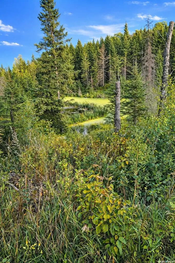 Rural Address Shellbrook Rm No. 493 SK S0J 2E0