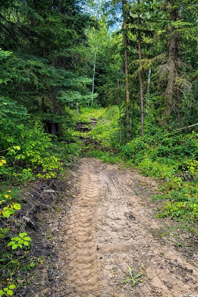 Rural Address Shellbrook Rm No. 493 SK S0J 2E0