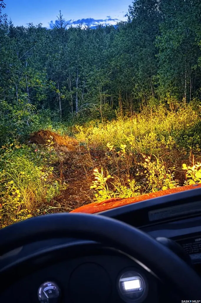 Rural Address Shellbrook Rm No. 493 SK S0J 2E0