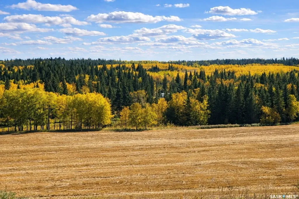 Rural Address Shellbrook Rm No. 493 SK S0J 2E0