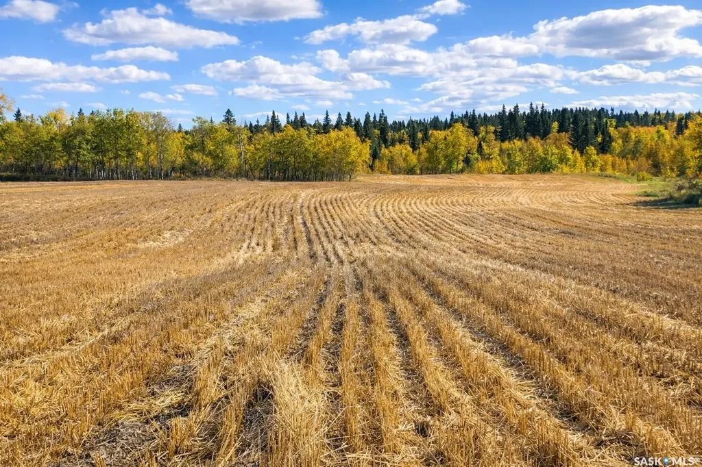 Rural Address Shellbrook Rm No. 493 SK S0J 2E0