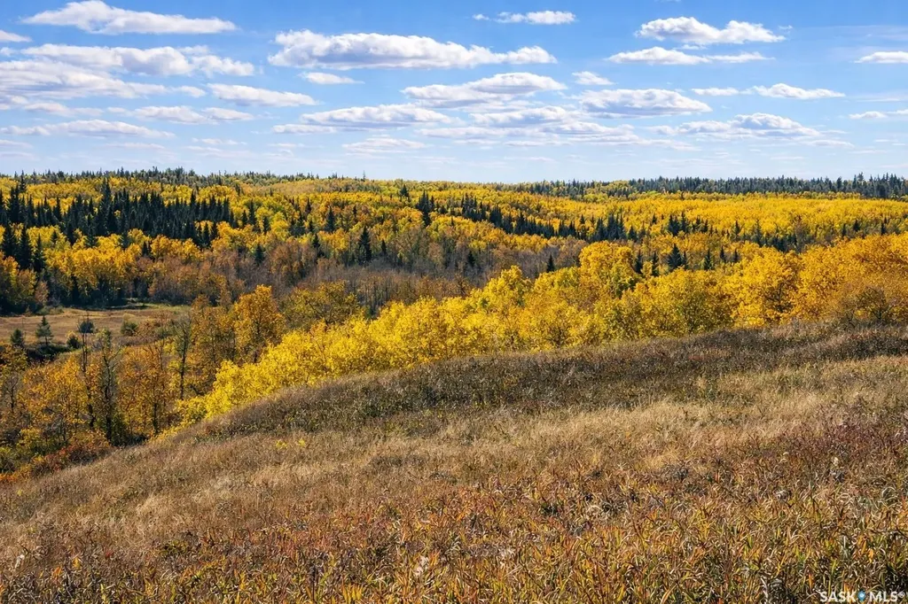 Rural Address Shellbrook Rm No. 493 SK S0J 2E0