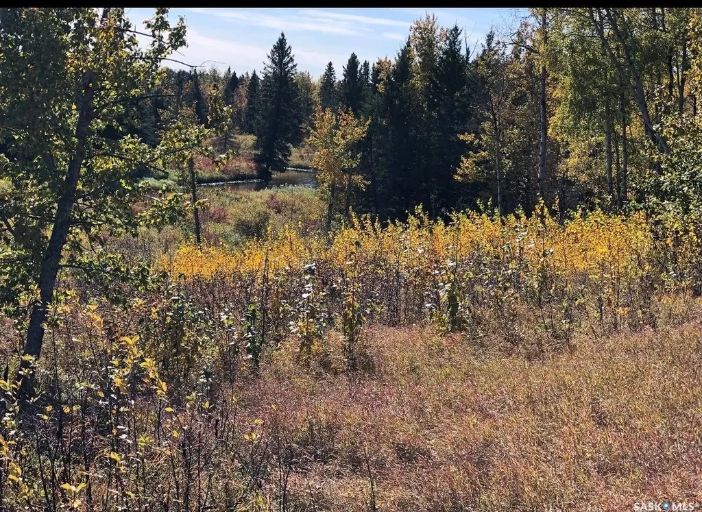 Rural Address Shellbrook Rm No. 493 SK S0J 2E0