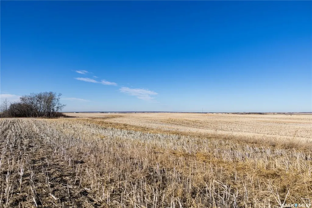 Rural Address Blucher Rm No. 343 SK S7B 0A5