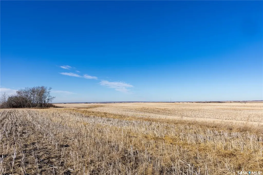 Rural Address Blucher Rm No. 343 SK S7B 0A5