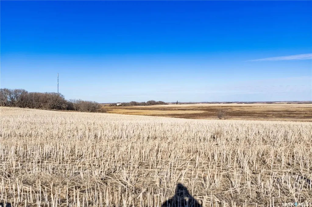 Rural Address Blucher Rm No. 343 SK S7B 0A5