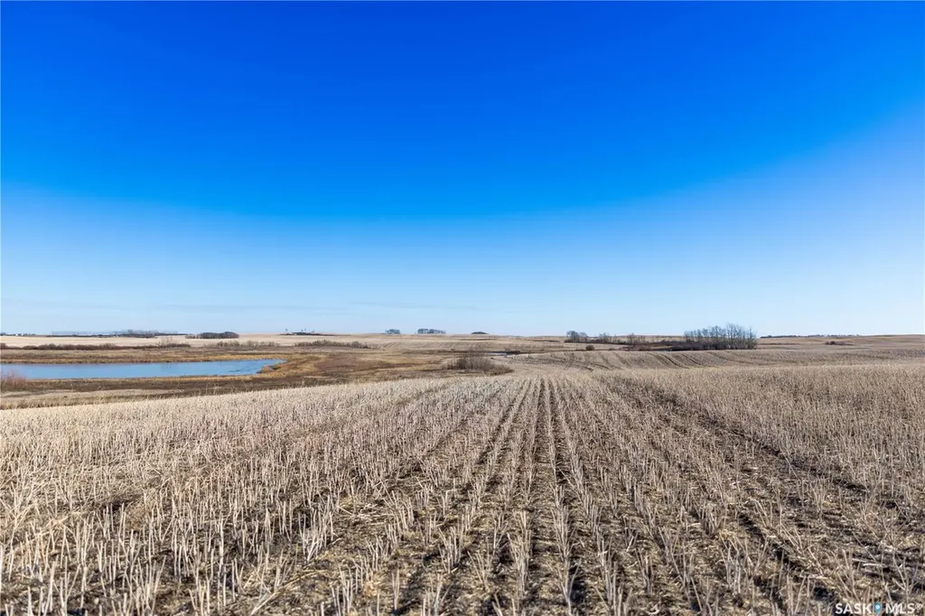 Rural Address Blucher Rm No. 343 SK S7B 0A5