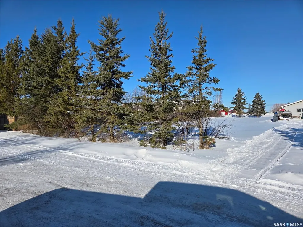1022 111th Avenue E Tisdale SK S0E 1T0