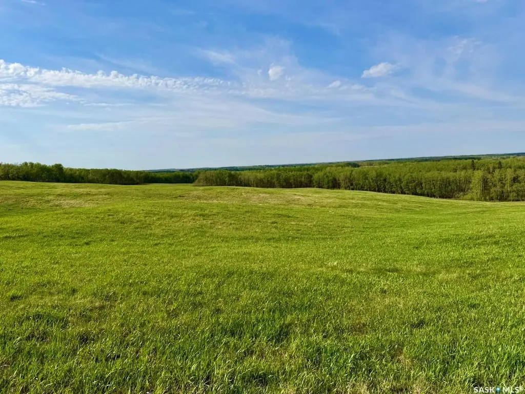 Rural Address Canwood Rm No. 494 SK S0J 0E8