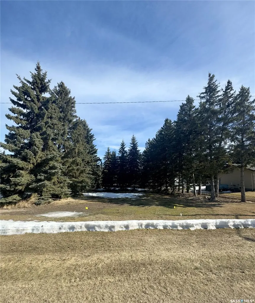 315 2nd Street Waldheim SK S0K 4R0
