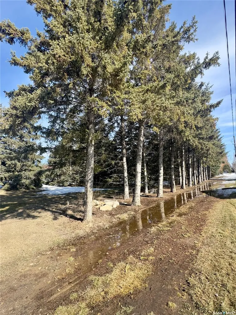 315 2nd Street Waldheim SK S0K 4R0