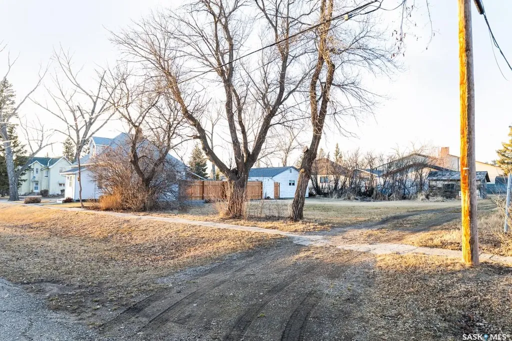203 Saskatchewan Avenue Luseland SK S0L 2A0