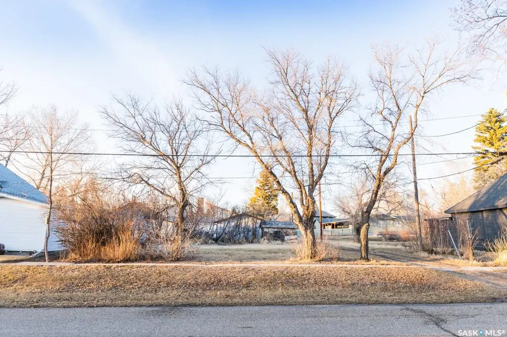 203 Saskatchewan Avenue Luseland SK S0L 2A0