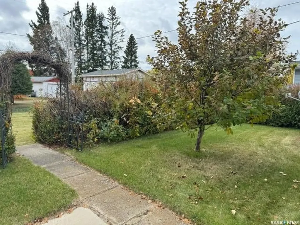 533 Highway Avenue E Preeceville SK S0A 3B0