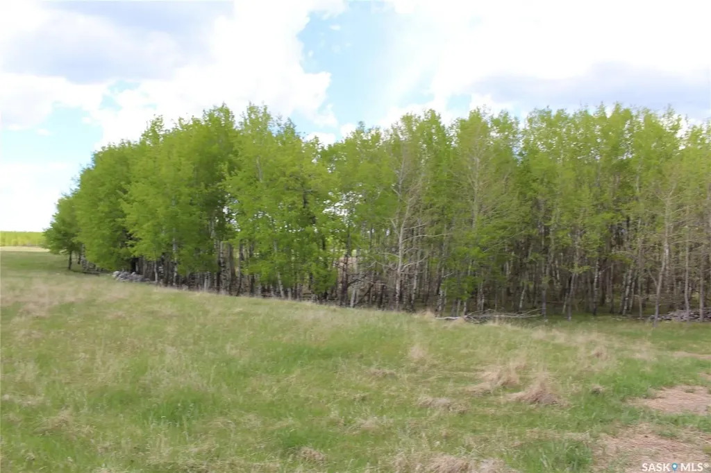 E Rural Address Parkdale Rm No. 498 SK S0M 1J0