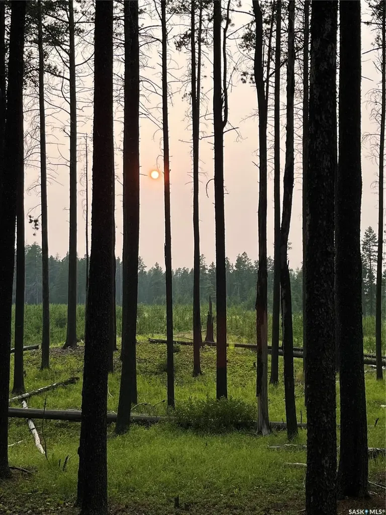 Rural Address Cypress Hills Provincial Park SK S0N 1N0