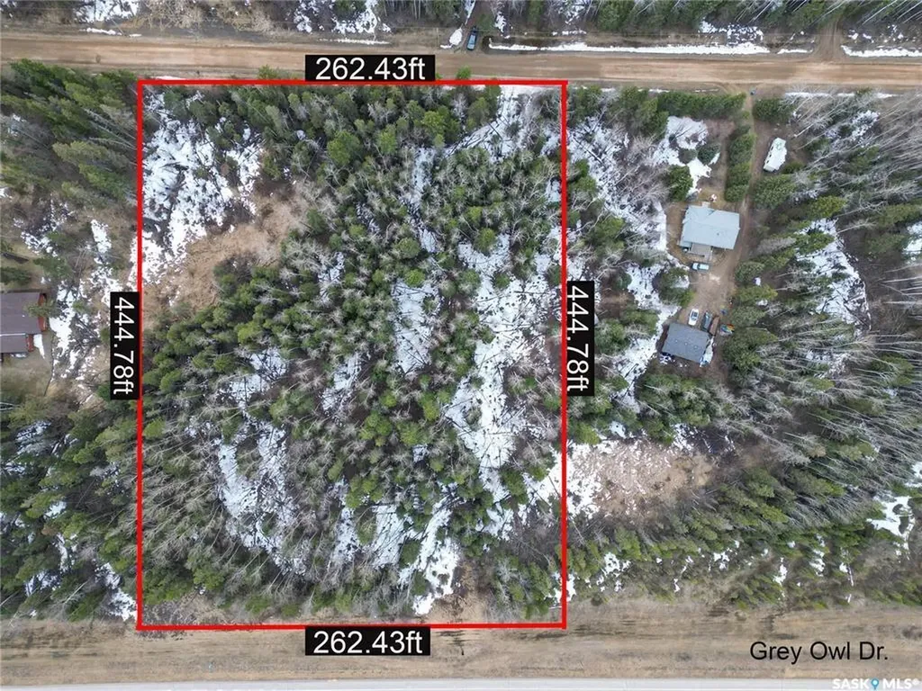 248 Grey Owl Drive Christopher Lake SK S0J 0N0