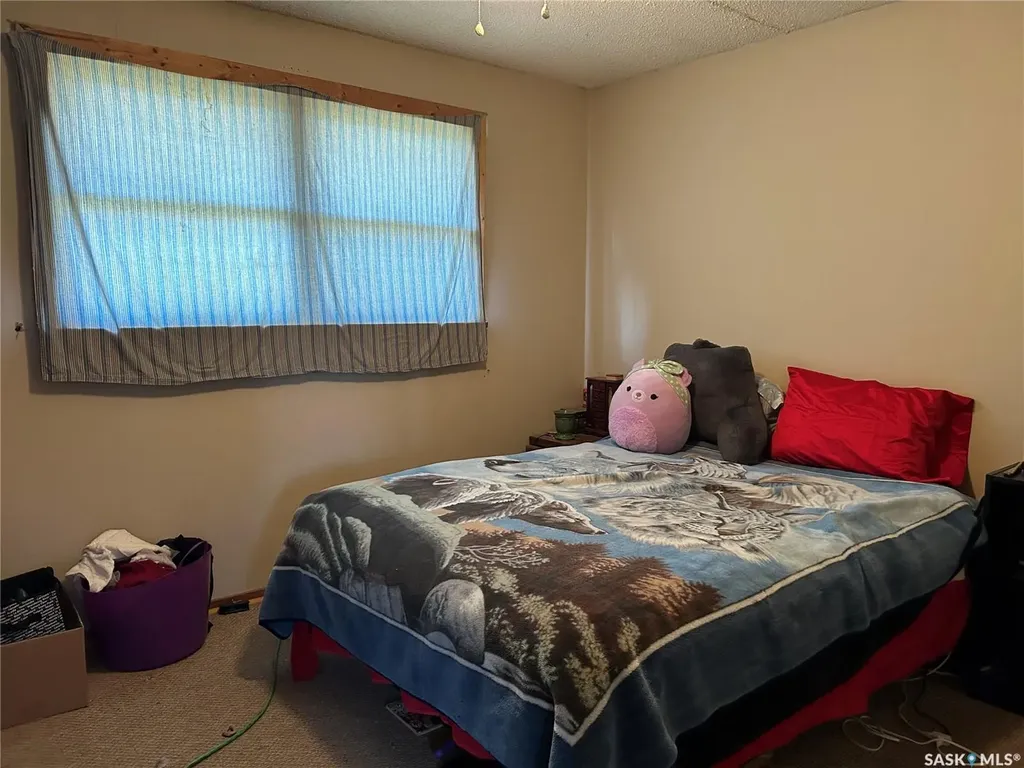 321 3rd Street Frobisher SK S0C 0Y0