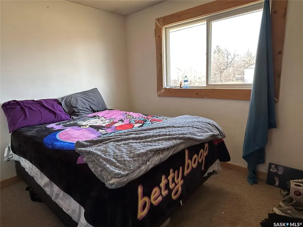 321 3rd Street Frobisher SK S0C 0Y0