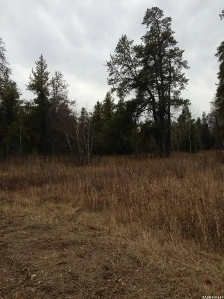 Rural Address Hudson Bay Rm No. 394 SK S0E 0Y0