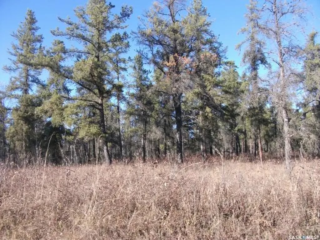 Rural Address Hudson Bay Rm No. 394 SK S0E 0Y0